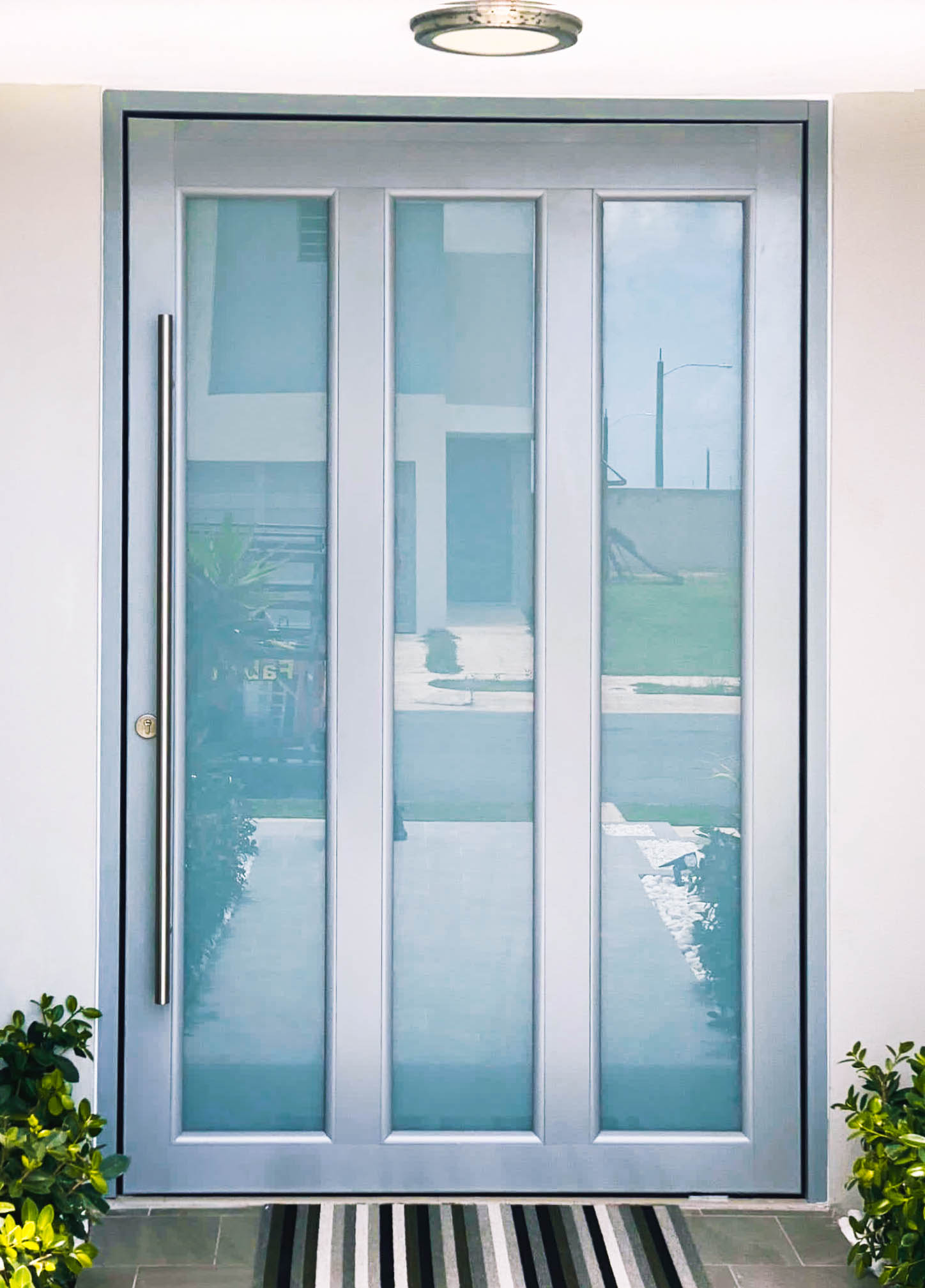 Puerta de cristal y aluminio frente a vista exterior